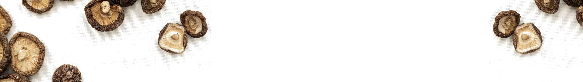 Banner-header